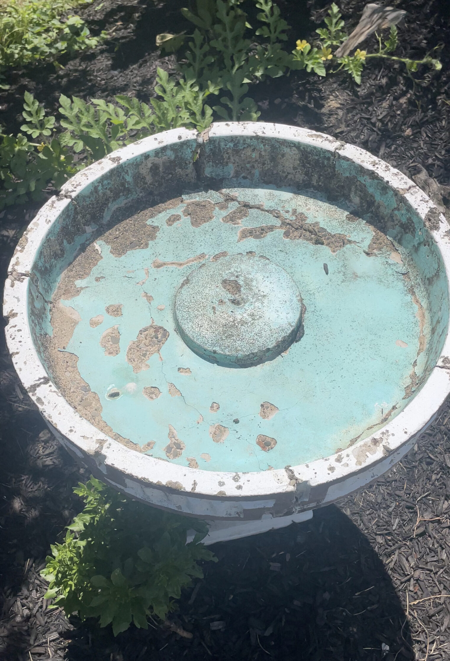 How to Repair a Bird Bath with DRYLOK® Waterproofer.