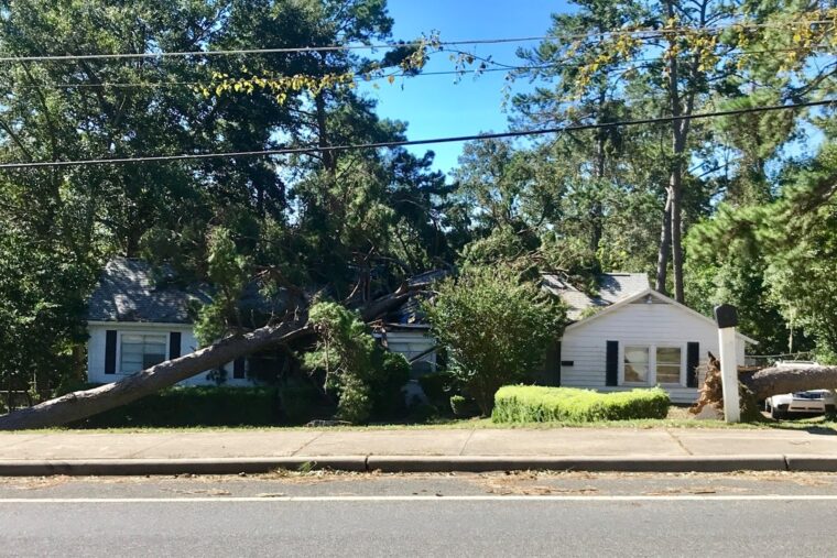 Home damaged by fallen tree after wind storm.