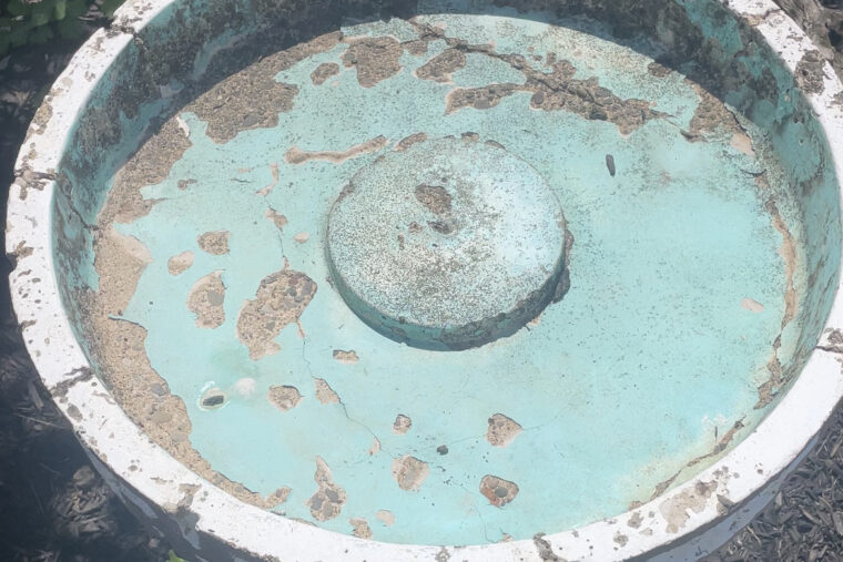 Bird bath 1